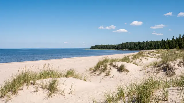 Sand and beach grass on a Lake Winnipeg shore